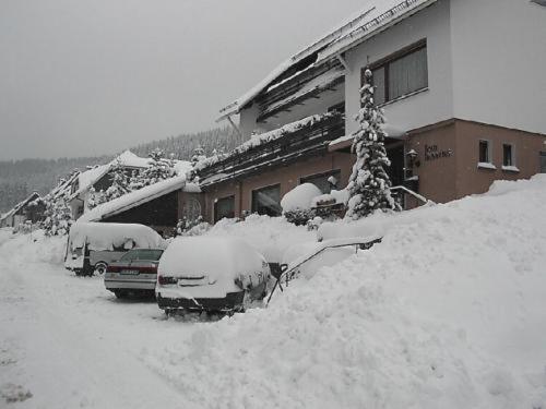 Haus Hubertus Hotel Winterberg Kültér fotó