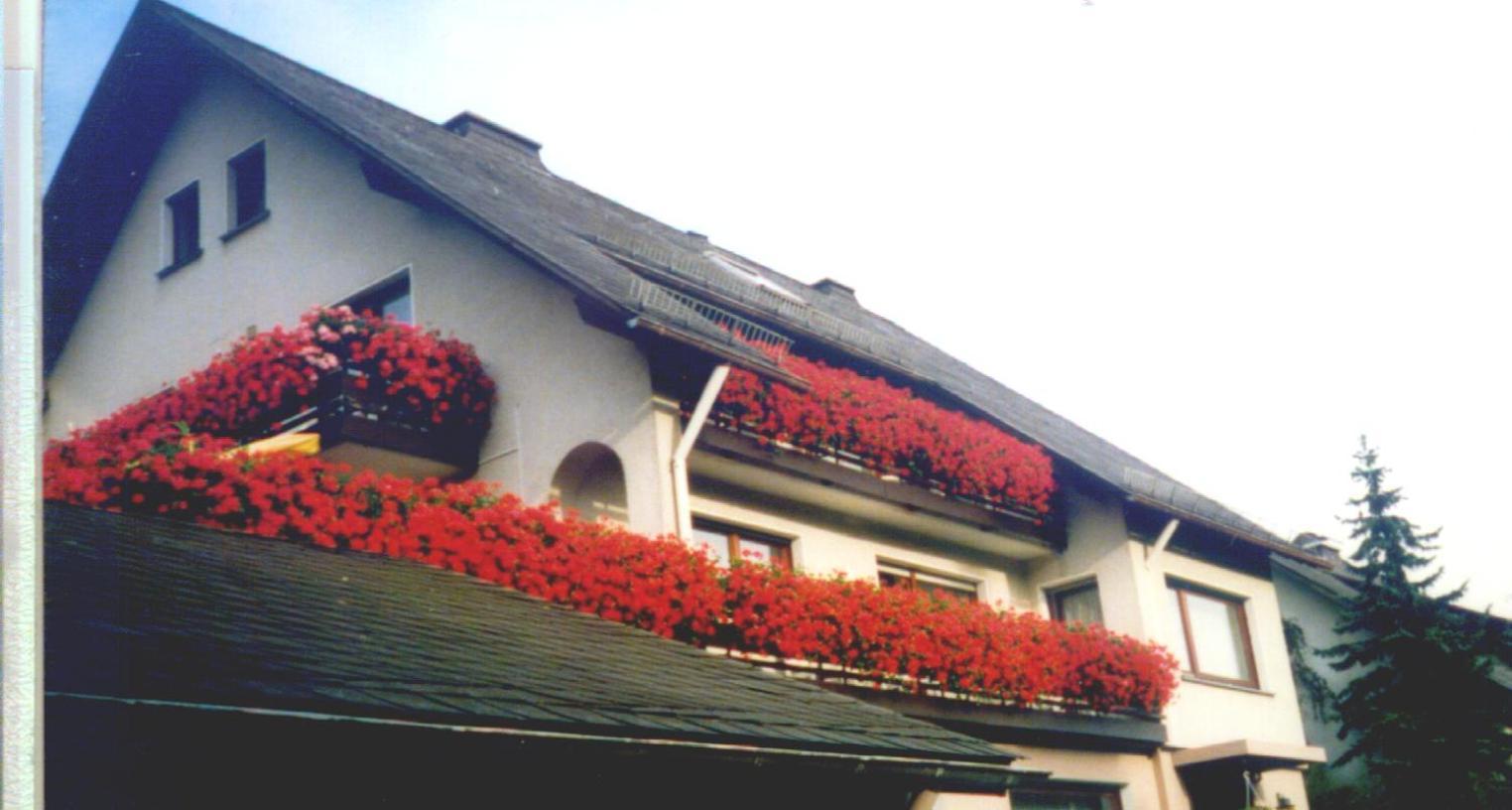 Haus Hubertus Hotel Winterberg Kültér fotó