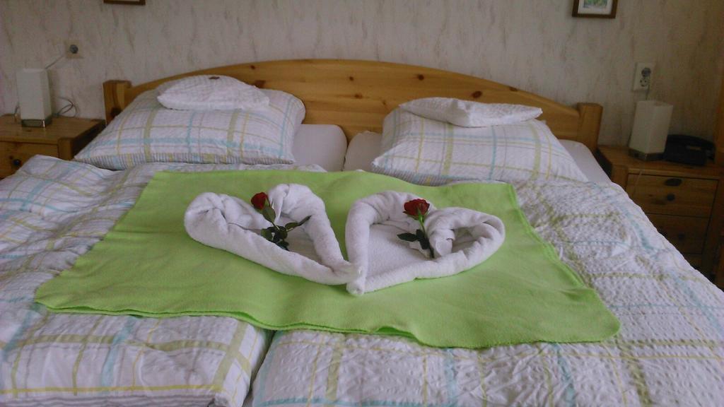 Haus Hubertus Hotel Winterberg Kültér fotó